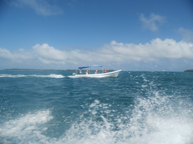  Descubra o barco 